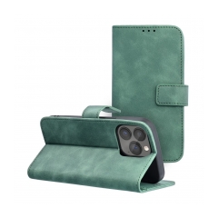TENDER Book Case for IPHONE 13 PRO green